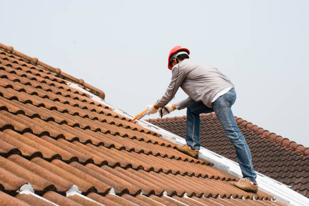 Best Skylight Installation and Repair  in Corning, AR